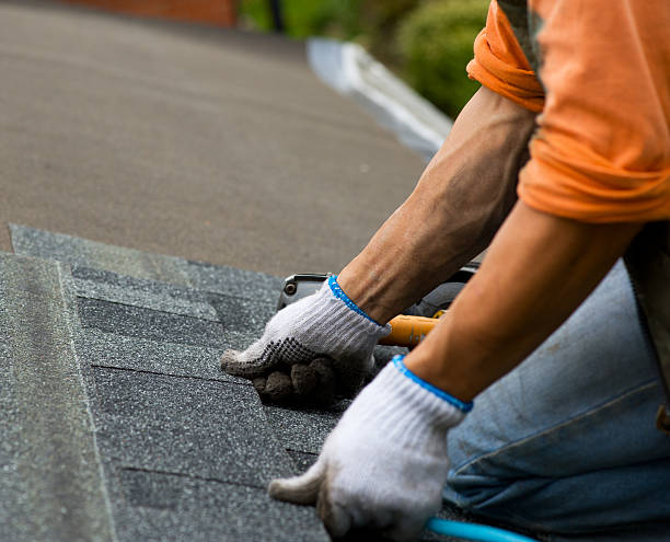 Roof Gutter Cleaning in Floris, VA