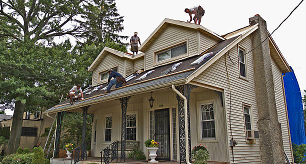 Best Roof Inspection Near Me  in Floris, VA